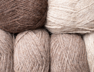 Mongolian nomads implement code of practice and supply raw wool to high fashion brands