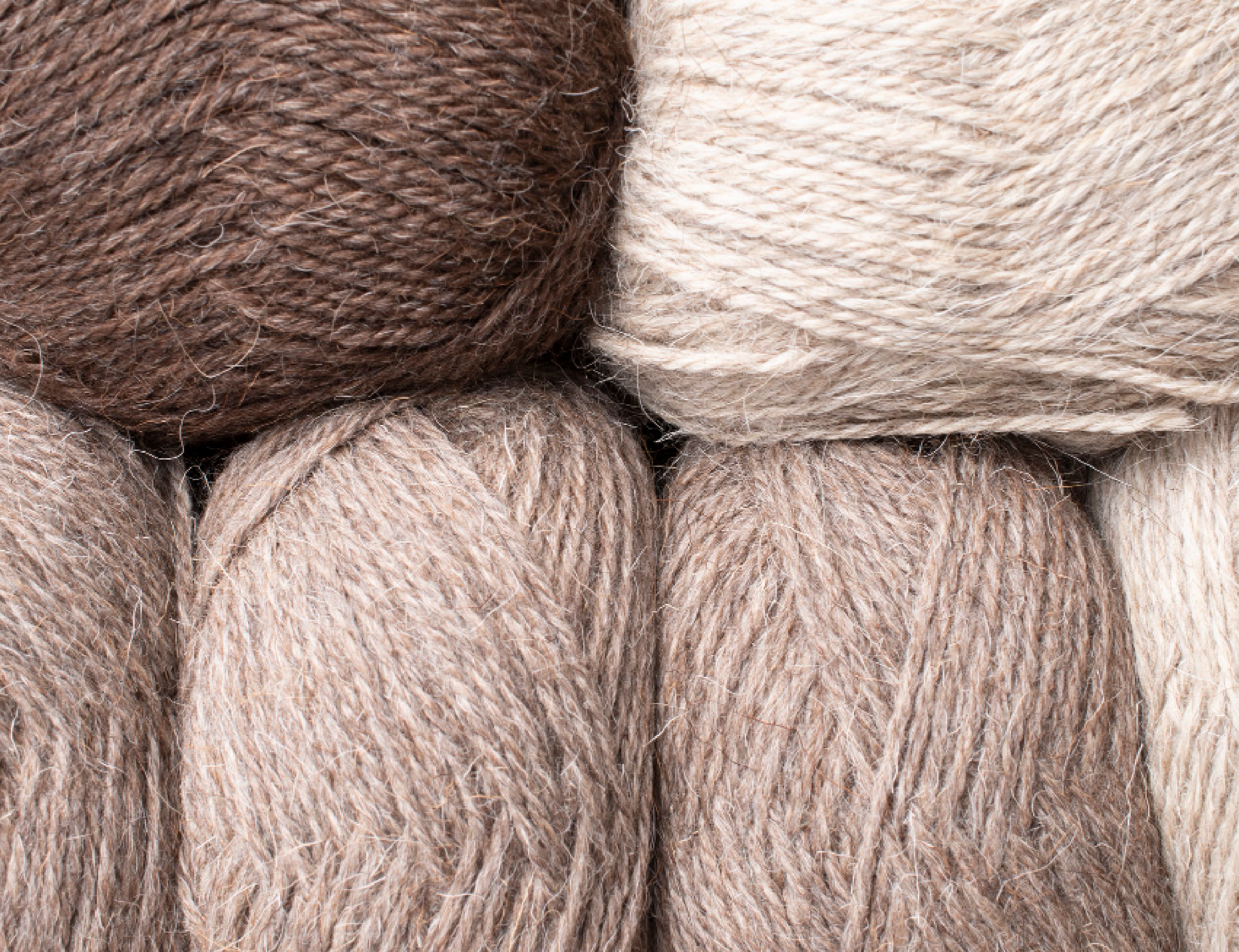 Mongolian nomads implement code of practice and supply raw wool to high fashion brands